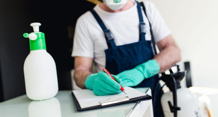 Pest Inspections What Renters Need to Know Before Moving In
